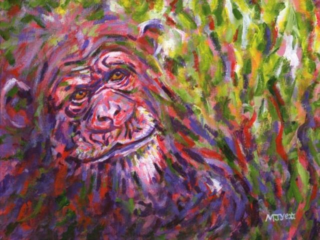 chimpanzee endangered animal painting