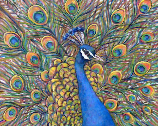 peacock displaying feathers art painting for sale