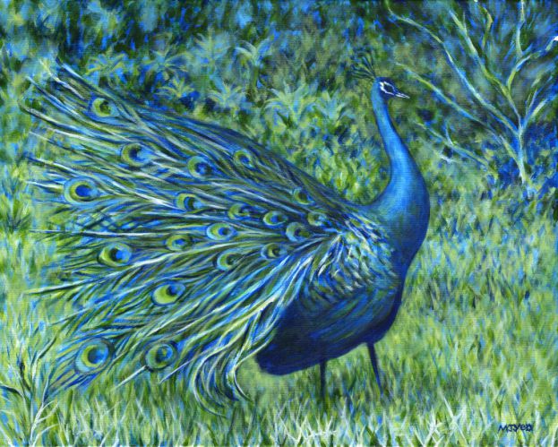 peacock art painting for sale