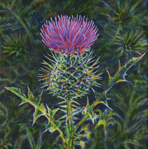 scottish thistle botanical nature art painting