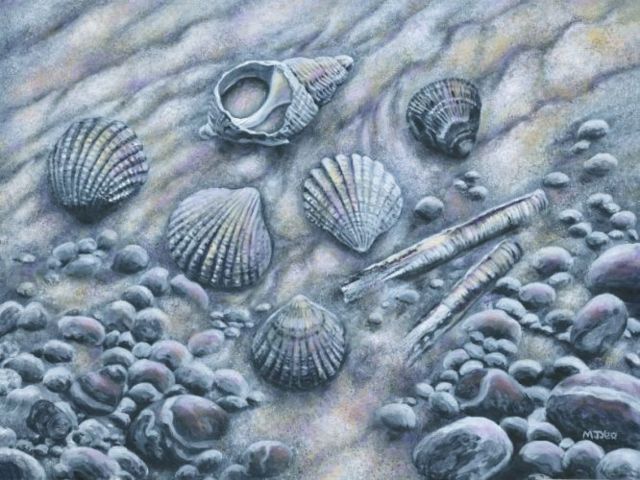 original acrylic painting, seashells art