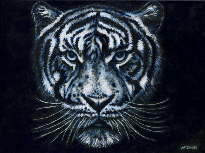tiger or tigress at night animal art painting for sale
