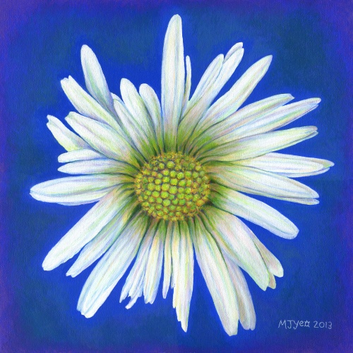 botanical daisy flower painting for sale