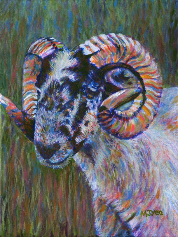farm animal scottish sheep painting for sale