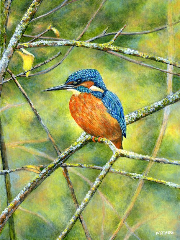 kingfisher bird art painting for sale